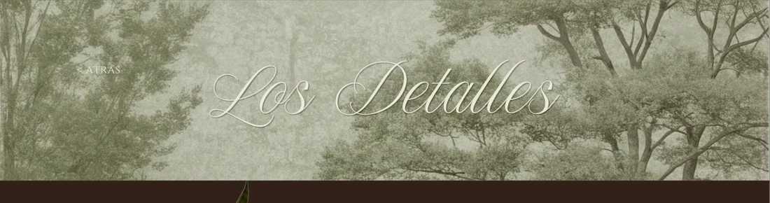 Los Detalles